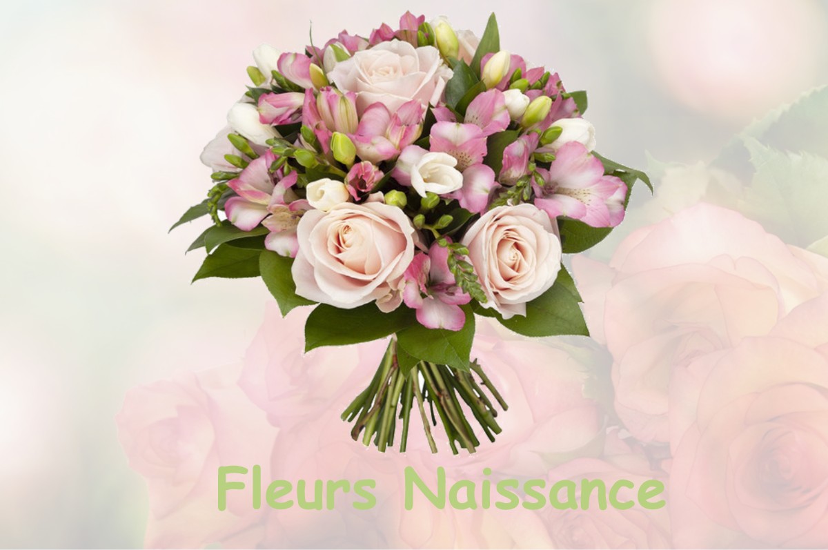 fleurs naissance SAINT-JUST-LA-PENDUE